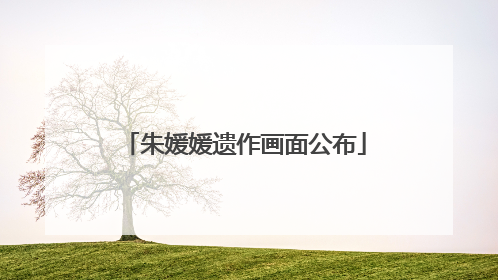 朱媛媛遗作画面公布