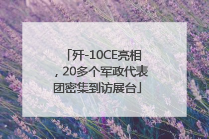 歼-10CE亮相，20多个军政代表团密集到访展台