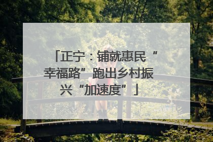正宁：铺就惠民“幸福路”跑出乡村振兴“加速度”