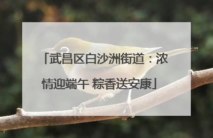 武昌区白沙洲街道：浓情迎端午 粽香送安康