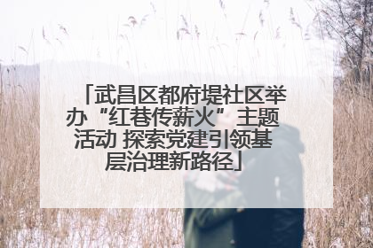 武昌区都府堤社区举办“红巷传薪火”主题活动 探索党建引领基层治理新路径