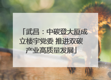 武昌：中碳登大厦成立楼宇党委 推进双碳产业高质量发展
