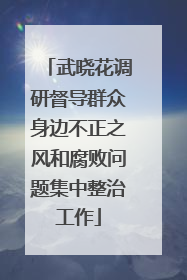 武晓花调研督导群众身边不正之风和腐败问题集中整治工作