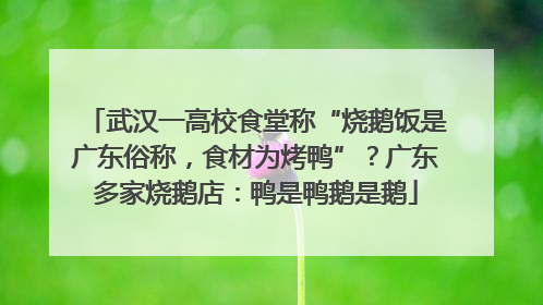 武汉一高校食堂称“烧鹅饭是广东俗称，食材为烤鸭”？广东多家烧鹅店：鸭是鸭鹅是鹅