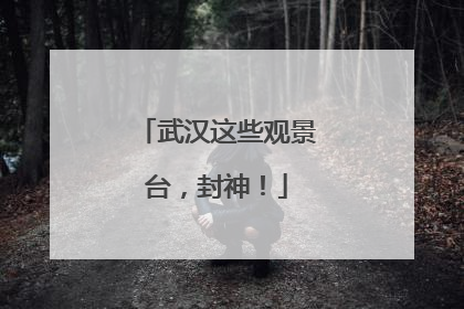 武汉这些观景台，封神！