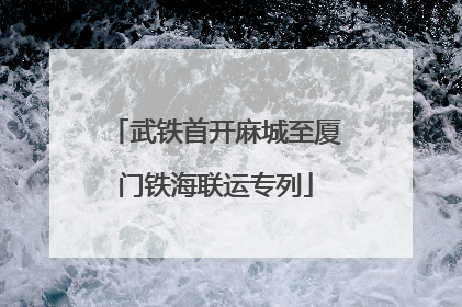 武铁首开麻城至厦门铁海联运专列