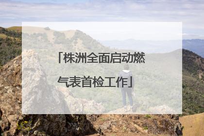 株洲全面启动燃气表首检工作