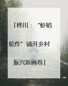 桦川：“虾稻轮作”铺开乡村振兴新画卷