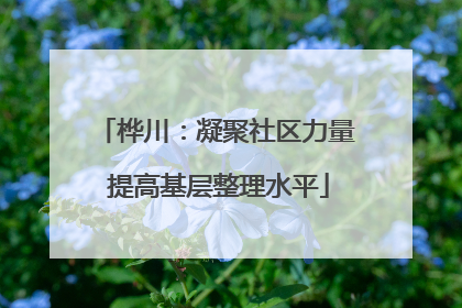 桦川：凝聚社区力量 提高基层整理水平