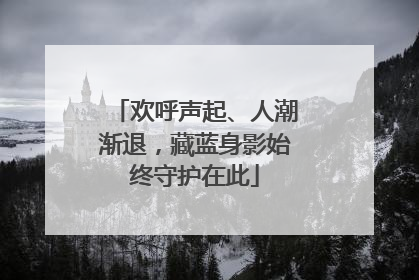 欢呼声起、人潮渐退，藏蓝身影始终守护在此