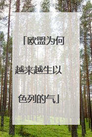 欧盟为何越来越生以色列的气