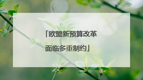 欧盟新预算改革面临多重制约