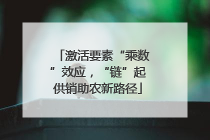 激活要素“乘数”效应，“链”起供销助农新路径