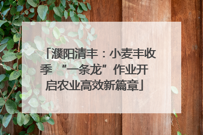 濮阳清丰：小麦丰收季 “一条龙”作业开启农业高效新篇章