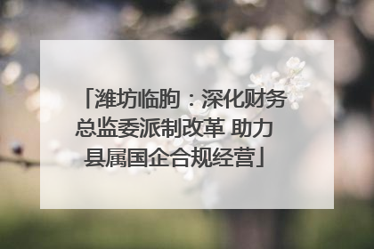 潍坊临朐：深化财务总监委派制改革 助力县属国企合规经营