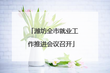 潍坊全市就业工作推进会议召开