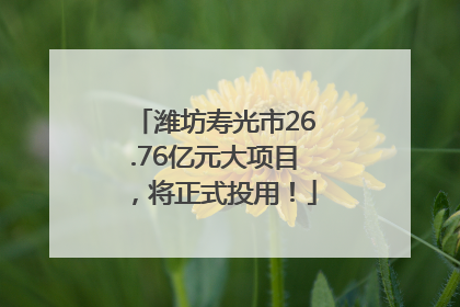 潍坊寿光市26.76亿元大项目，将正式投用！