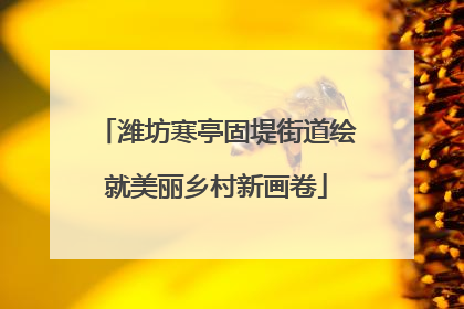潍坊寒亭固堤街道绘就美丽乡村新画卷