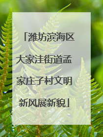 潍坊滨海区大家洼街道孟家庄子村文明新风展新貌