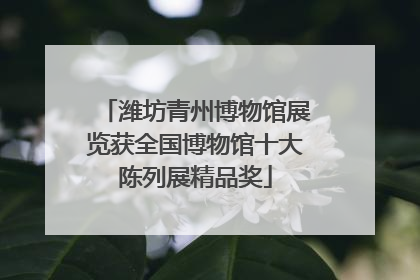 潍坊青州博物馆展览获全国博物馆十大陈列展精品奖