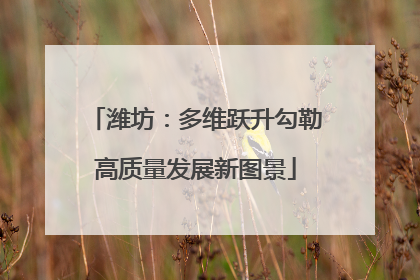 潍坊：多维跃升勾勒高质量发展新图景