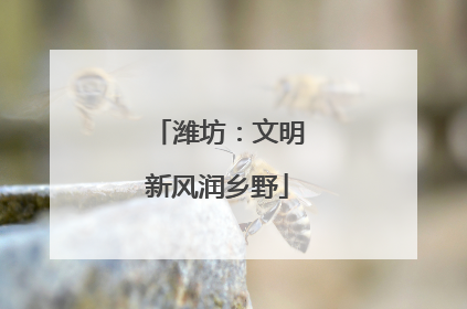 潍坊：文明新风润乡野