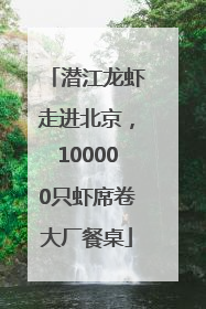 潜江龙虾走进北京，100000只虾席卷大厂餐桌