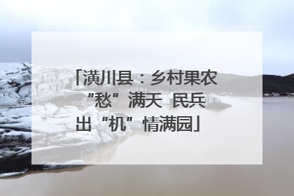 潢川县：乡村果农“愁”满天  民兵出“机”情满园