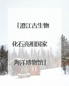澄江古生物化石亮相国家海洋博物馆