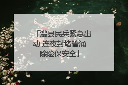 澧县民兵紧急出动 连夜封堵管涌除险保安全