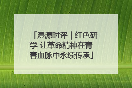 澧源时评｜红色研学 让革命精神在青春血脉中永续传承