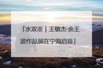 水双重｜王敏杰·余王波作品展在宁海启幕