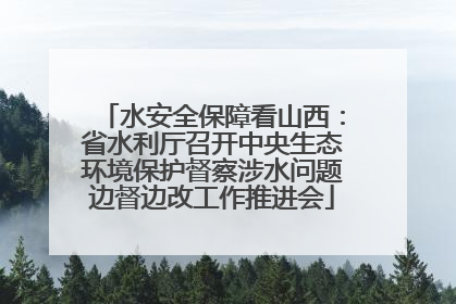 水安全保障看山西：省水利厅召开中央生态环境保护督察涉水问题边督边改工作推进会
