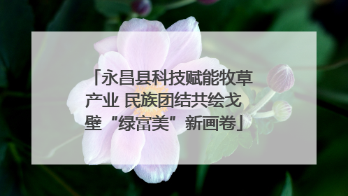 永昌县科技赋能牧草产业 民族团结共绘戈壁“绿富美”新画卷