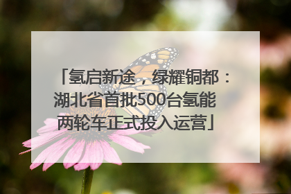 氢启新途，绿耀铜都：湖北省首批500台氢能两轮车正式投入运营