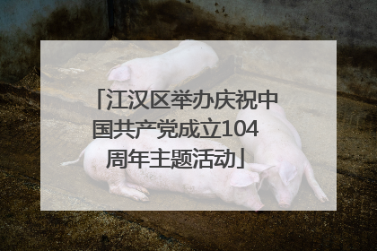 江汉区举办庆祝中国共产党成立104周年主题活动