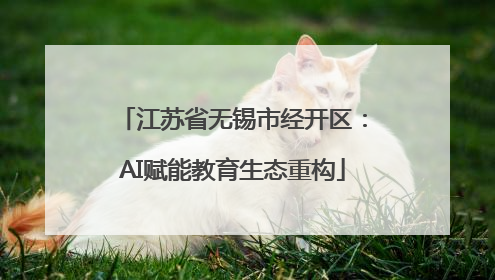 江苏省无锡市经开区：AI赋能教育生态重构