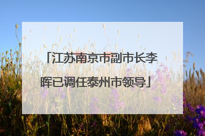 江苏南京市副市长李晖已调任泰州市领导