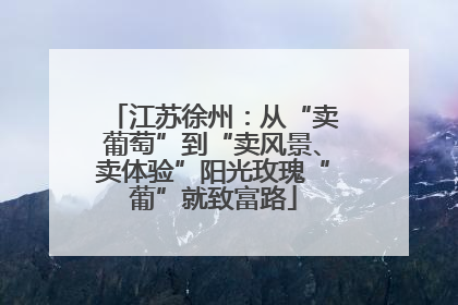 江苏徐州：从“卖葡萄”到“卖风景、卖体验”阳光玫瑰“葡”就致富路