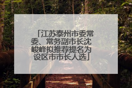江苏泰州市委常委、常务副市长沈峻峰拟推荐提名为设区市市长人选
