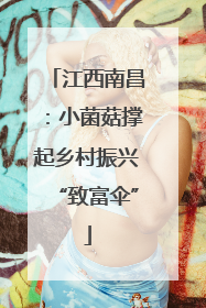 江西南昌：小菌菇撑起乡村振兴“致富伞”