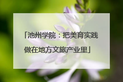 池州学院：把美育实践做在地方文旅产业里