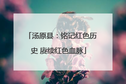 汤原县：铭记红色历史 赓续红色血脉