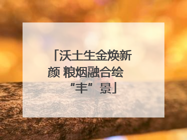 沃土生金焕新颜 粮烟融合绘“丰”景