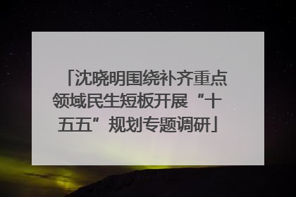 沈晓明围绕补齐重点领域民生短板开展“十五五”规划专题调研