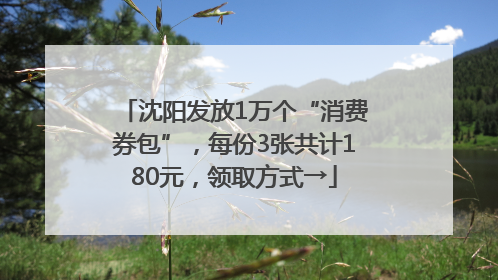 沈阳发放1万个“消费券包”，每份3张共计180元，领取方式→