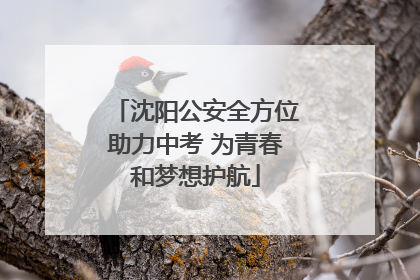 沈阳公安全方位助力中考 为青春和梦想护航