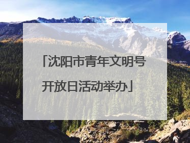 沈阳市青年文明号开放日活动举办