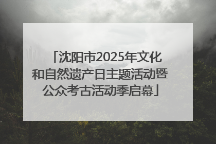 沈阳市2025年文化和自然遗产日主题活动暨公众考古活动季启幕