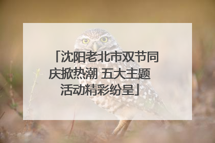 沈阳老北市双节同庆掀热潮 五大主题活动精彩纷呈
